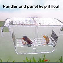 floating fish breeder box