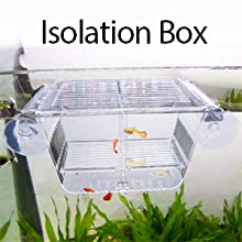 It can be used as fish acclimation box
