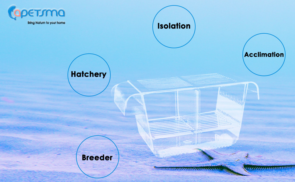 Fish Breeder box