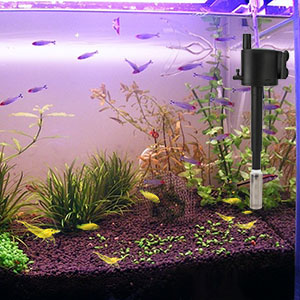 fish tank filter guard 
