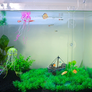 Aquarium Glass Feeder Tube 
