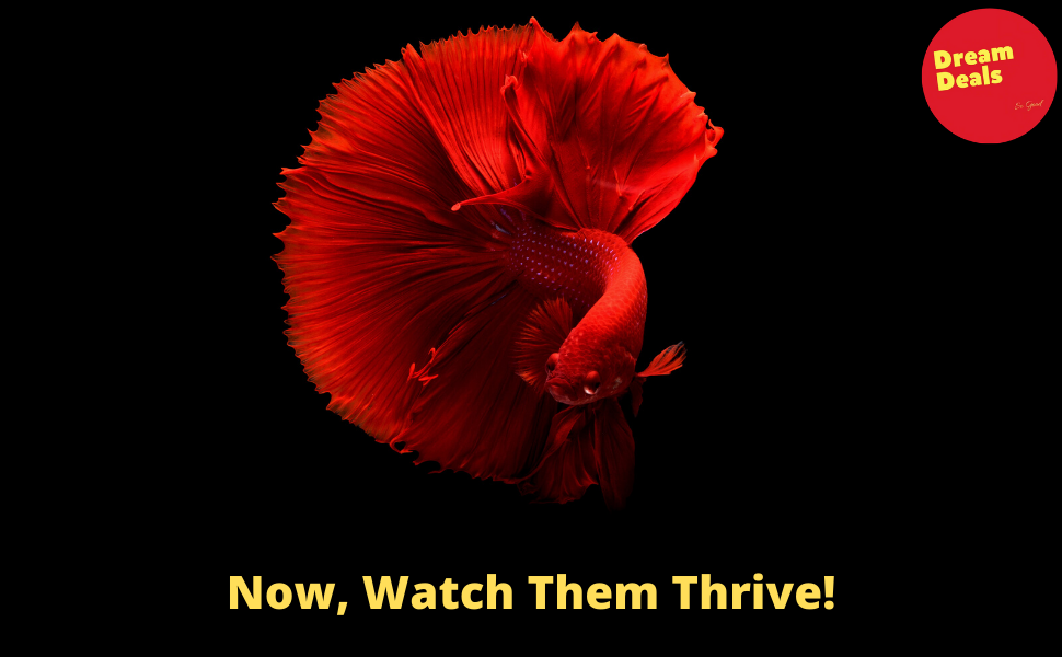 Now, Watch Them Thrive