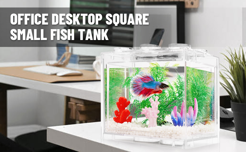small fish tank