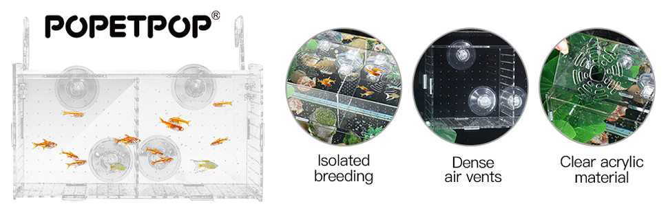 fish breeding tank