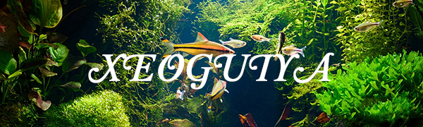 XEOGUIYA Aquarium Shrimp Food Feeder Dish, Glass Round Fish Tank Feeding Bowls Clear Dishes