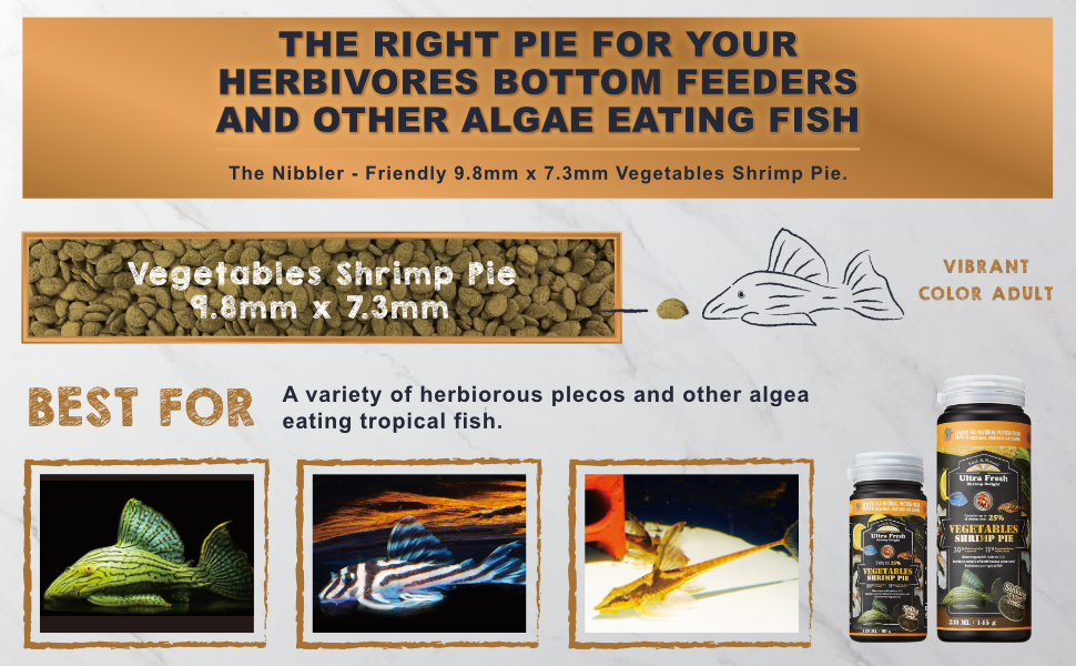 pleco wafers, pleco food, algae wafers, algae wafers fish food