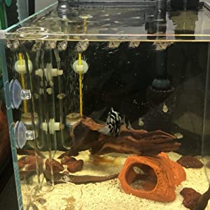 Aquarium Clear Glass Feeder