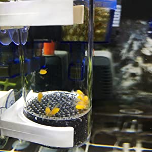  Fish Hatchery Incubator