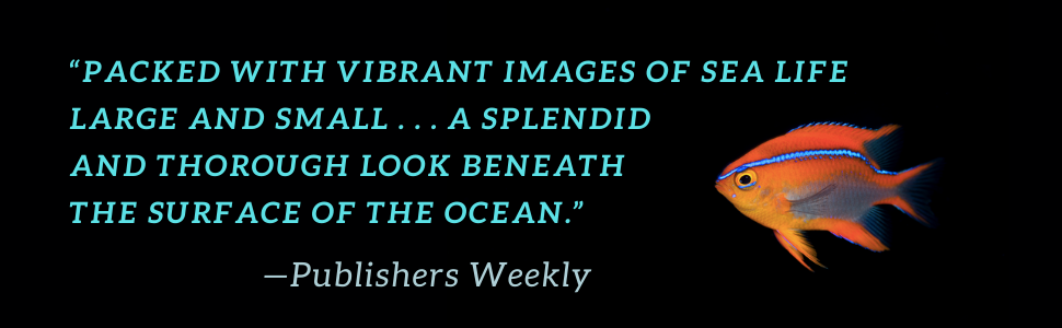 Publishers Weekly says it's packed with vibrant images of sea life large and small.