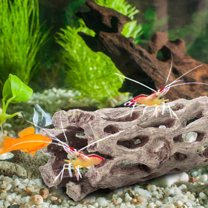 honeycomb trunk aquarium fish tank decoration accessories betta ornament reptile amphibian hideouts