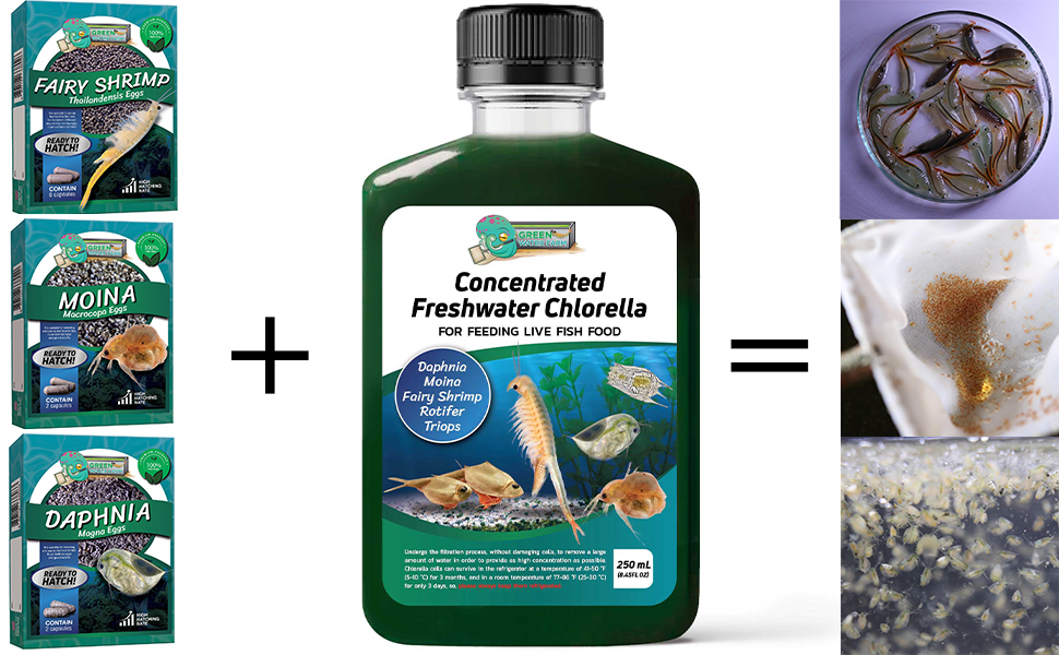 Concentrated Chlorella