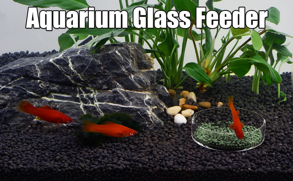  Aquarium Shrimp Feeder Dish