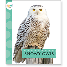 Snowy Owl cover