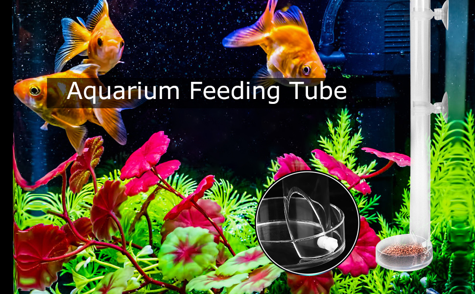 Aquarium Feeding Tube
