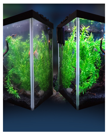 aquarium pond water quality water conditioner clarifier activated carbon tannins odors