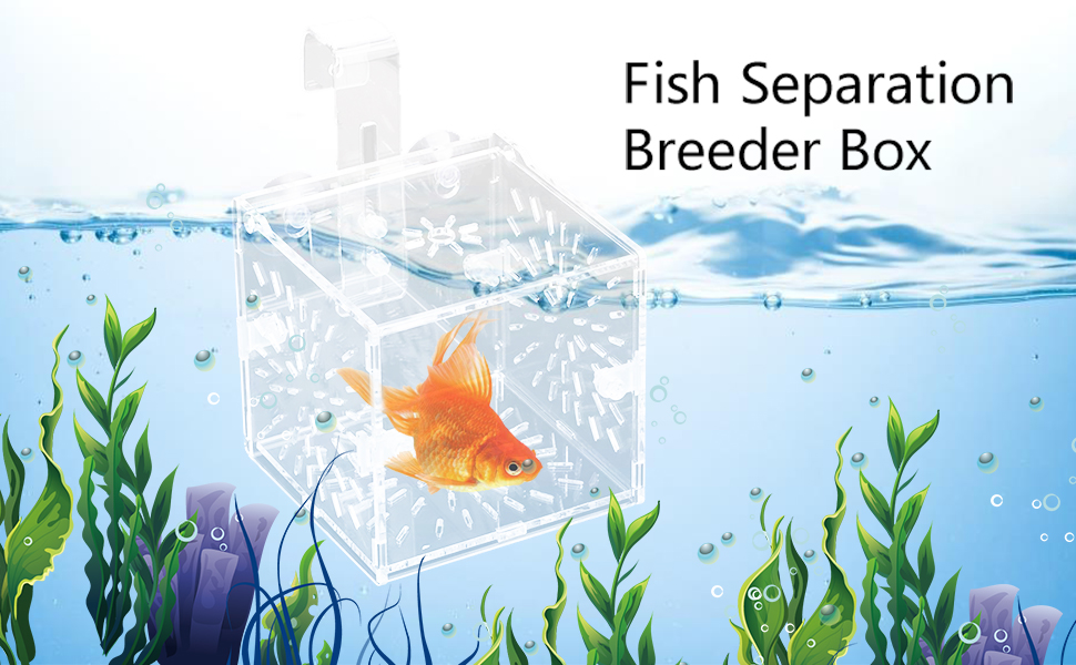 Fish Isolation Breeding Box