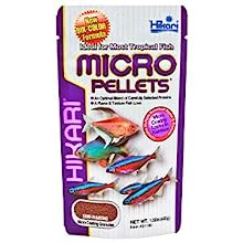 Hikari Micro Pellets Tropical Fish Food