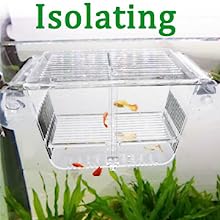 isolating fishes
