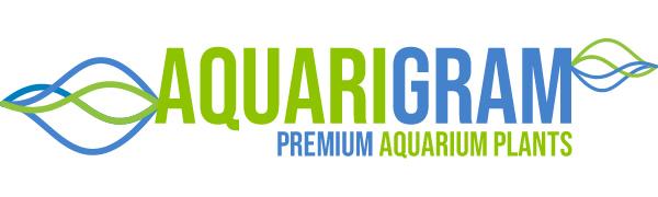 Aquarigram - Premium aquarium plants