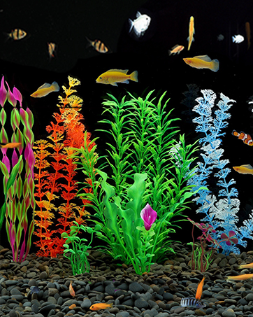 aquarium decoration