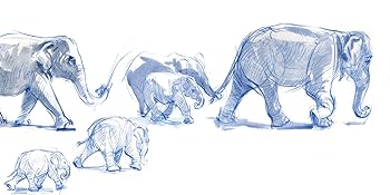 Drawing,Sketching,drawing animals,zoo,wildlife parks,aquariums,illustration,animation,draw from life