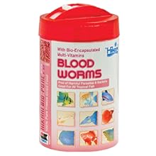 Hikari Freeze Dried Blood Worms