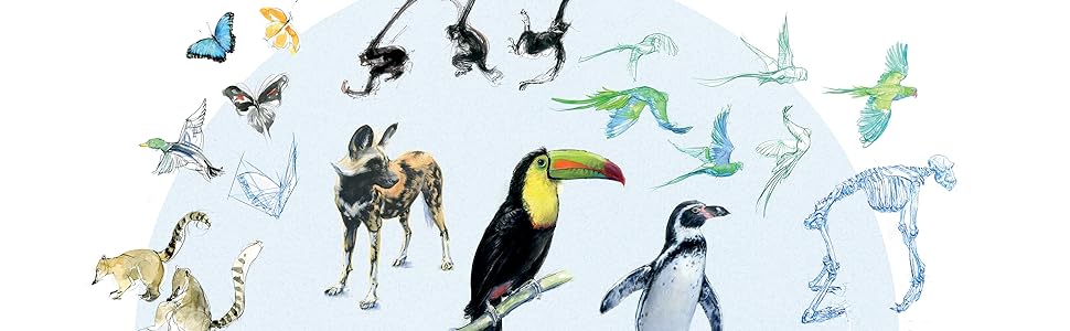 field guide,animals,wildlife,drawing animals,biodiversity,drawing from life,planet earth,nature,zoo