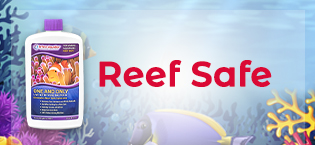 reef aquariums
