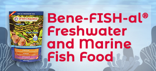 freshwater fish food