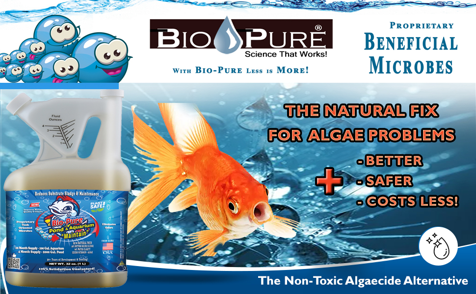 Bio Pure Pond/Aquarium Beneficial Bacteria are Microbes That Digests Organic Waste Improve