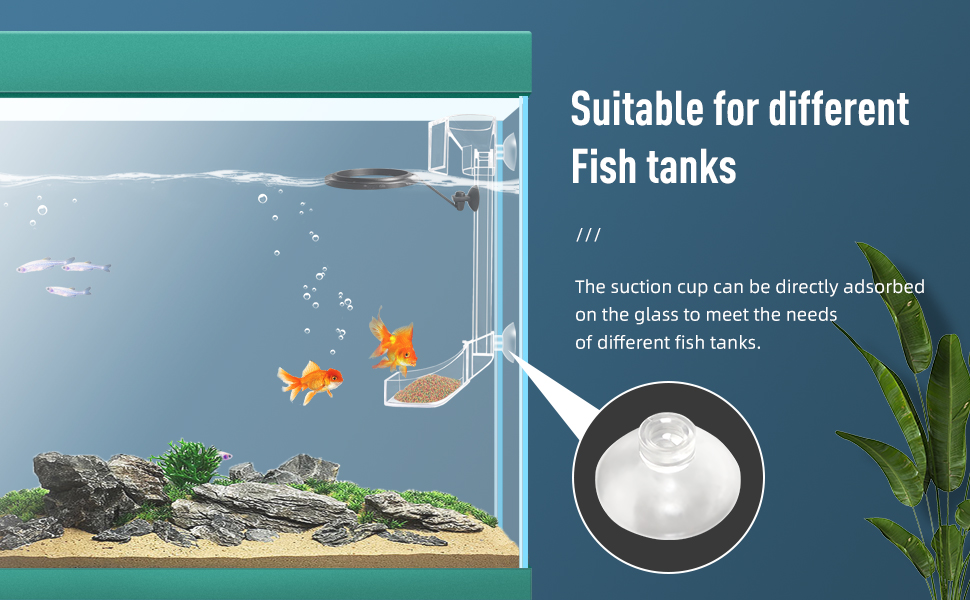 Acrylic Feeding Ring and Tube Set for Aquariums