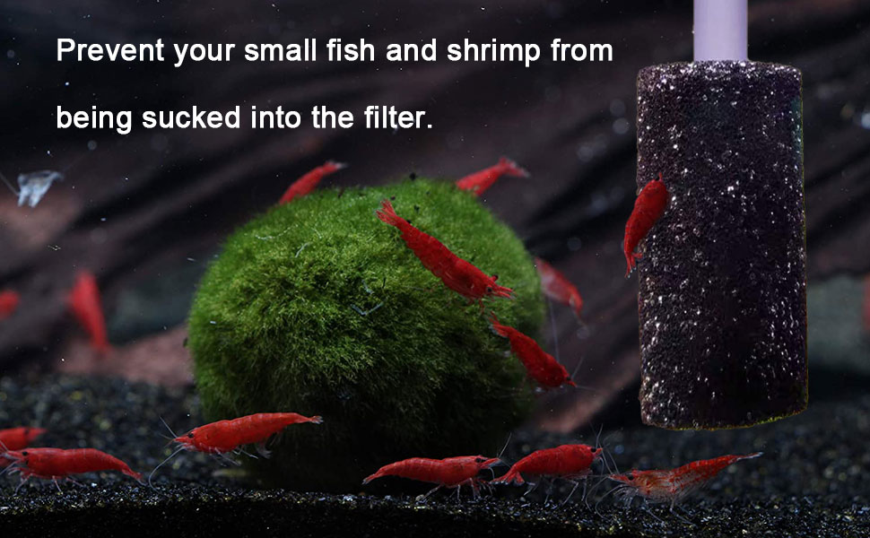 The aquarium filter contains a pre-filtered sponge to prevent your fish shrimp from being sucked
